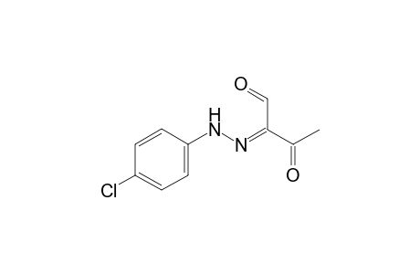 (E)-2-(2-(4-chlorophenyl)hydrazono)-3-oxobutanal