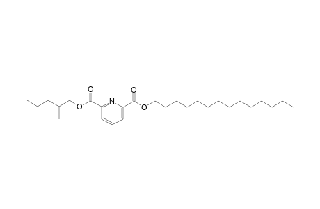 2,6-Pyridinedicarboxylic acid, 2-methylpentyl tetradecyl ester