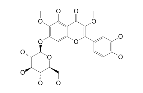 AXILLARIN-7-GLUCOSIDE