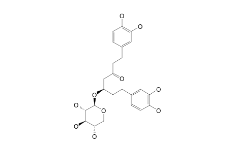 OREGONIN;(5S)-1,7-BIS-(3,4-DIHYDROPHENYL)-5-O-(BETA-D-XYLOPYRANOSYL)-HEPTAN-3-ONE