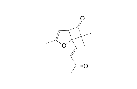 3,7,7-Trimethyl-1-(3-oxo-but-1-enyl)-2-oxa-bicyclo[3.2.0]hept-3-en-6-one