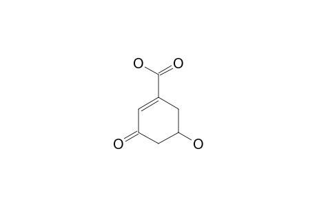 5-hydroxy-3-keto-cyclohexene-1-carboxylic acid