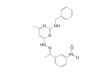(1E)-1-(3-nitrophenyl)ethanone [2-(benzylamino)-6-methyl-4-pyrimidinyl]hydrazone