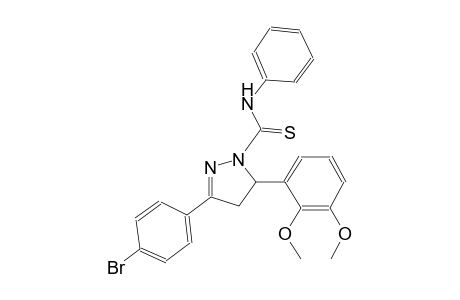 3-(4-bromophenyl)-5-(2,3-dimethoxyphenyl)-N-phenyl-4,5-dihydro-1H-pyrazole-1-carbothioamide