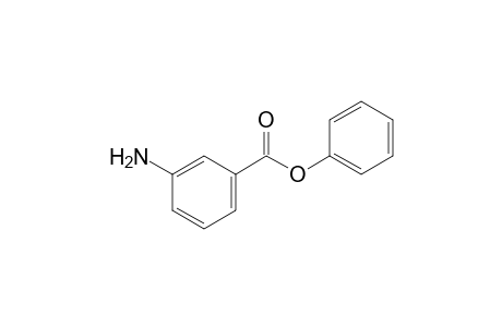 Phenyl m-aminobenzoate