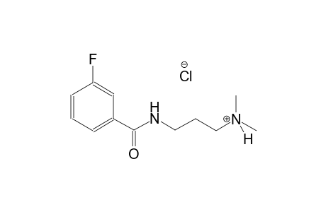 3-[(3-fluorobenzoyl)amino]-N,N-dimethyl-1-propanaminium chloride
