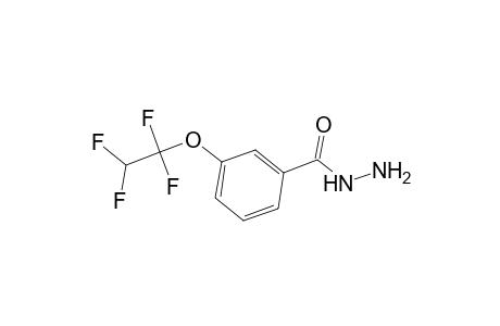 3-(1,1,2,2-Tetrafluoroethoxy)benzohydrazide