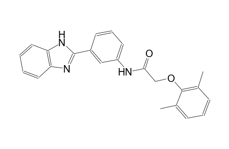 N-[3-(1H-benzimidazol-2-yl)phenyl]-2-(2,6-dimethylphenoxy)acetamide