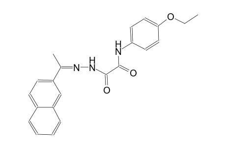 N-(4-ethoxyphenyl)-2-{2-[1-(2-naphthyl)ethylidene]hydrazino}-2-oxoacetamide