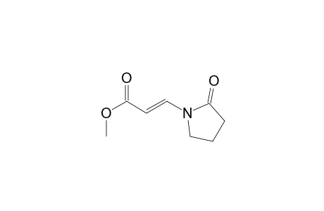 Methyl-(E)-3-(2-oxopyrrolidin-1-yl)acrylate
