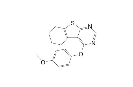 4-(4-Methoxyphenoxy)-5,6,7,8-tetrahydrobenzothieno[2,3-d]pyrimidine
