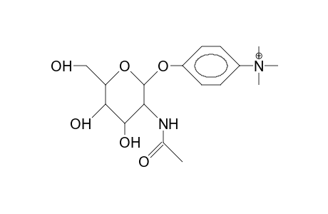 P-Trimethyl-anilinium 2-acetamido-2-deoxy-B-D-glucopyranoside cation