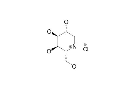 (2R,3R,4S,5R)-2-(HYDROXYMETHYL)-PIPERIDINE-3,4,5-TRIOL-HYDROCHLORIDE