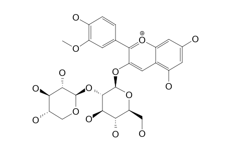 PEONIDIN-3-O-SAMBUBIOSIDE;PEONIDIN-3-O-(2''-O-BETA-XYLOPYRANOSYL-O-BETA-GLUCOPYRANOSIDE)