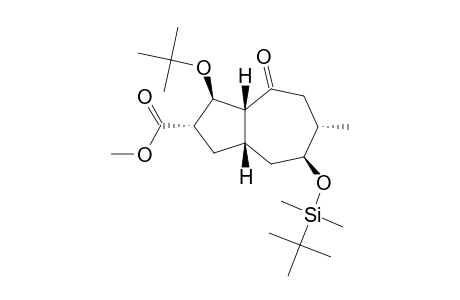 METHYL-(1R*,4S*,5S*,7S*,9S*,10R*)-10-TERT.-BUTOXY-5-TERT.-BUTYLDIMETHYLSILOXY-4-METHYL-2-OXO-BICYCLO-[5.3.0]-DECANE-9-CARBOXYLATE