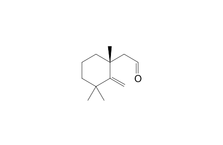 2-(1,3,3-Trimethyl-2-methylenecyclohexyl)acetaldehyde