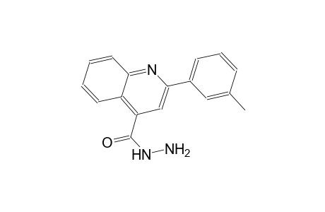 2-(3-methylphenyl)-4-quinolinecarbohydrazide