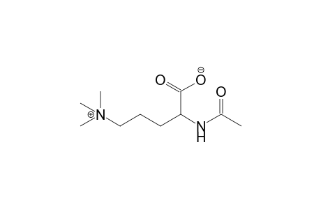 2-Acetamido-5-(trimethylammonio)valerate
