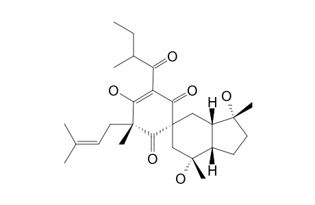 HYPERIELLIPTONE_HB