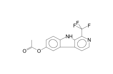 6-ACETOXY-1-TRIFLUOROMETHYL-9H-PYRIDO[3,4-B]INDOLE