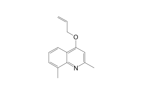 2,8-Dimethyl-4-prop-2-enoxy-quinoline
