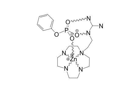 ZN-[L(1)H(+)]-[PP(2-)]*(CLO4)-0.5(H2O)