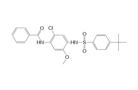 N-(4-{[(4-tert-butylphenyl)sulfonyl]amino}-2-chloro-5-methoxyphenyl)benzamide