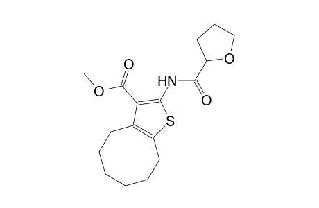 methyl 2-[(tetrahydro-2-furanylcarbonyl)amino]-4,5,6,7,8,9-hexahydrocycloocta[b]thiophene-3-carboxylate