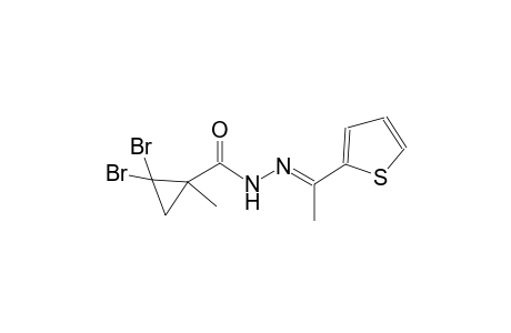 2,2-dibromo-1-methyl-N'-[(E)-1-(2-thienyl)ethylidene]cyclopropanecarbohydrazide