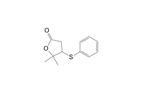 2(3H)-Furanone, dihydro-5,5-dimethyl-4-(phenylthio)-