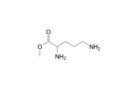 2,5-Diaminopentanoic acid methyl ester