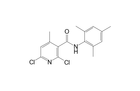2,6-bis(chloranyl)-4-methyl-N-(2,4,6-trimethylphenyl)pyridine-3-carboxamide