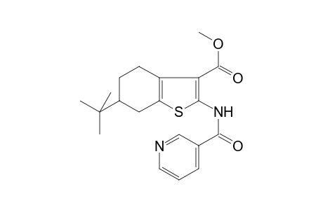 Benzothiophene-3-carboxiic acid, 4,5,6,7-tetrahydro-6-tert-butyl-2-(3-pyridinoylamino)-, methyl ester