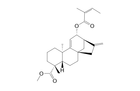 METHYL-12-ALPHA-ANGELOYLOXY-9,11-DEHYDRO-ENT-KAUR-16-EN-19-OATE