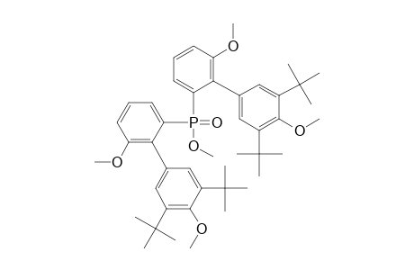 Phosphinic acid, bis[3',5'-bis(1,1-dimethylethyl)-4',6-dimethoxy[1,1'-biphenyl]-2-yl]- , methyl ester