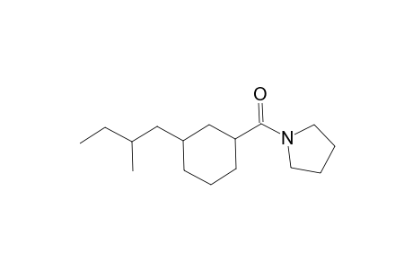 1-([3-(2-Methylbutyl)cyclohexyl]carbonyl)pyrrolidine