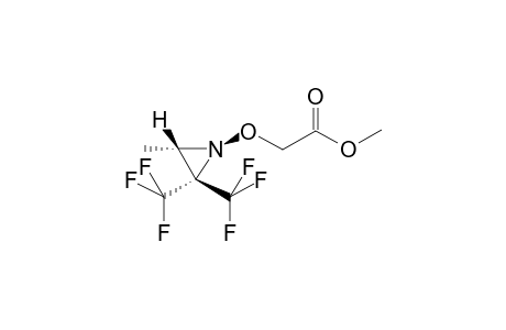 TRANS-1-METHOXYCARBONYLMETHOXY-2-METHYL-3,3-BIS(TRIFLUOROMETHYL)AZIRIDINE