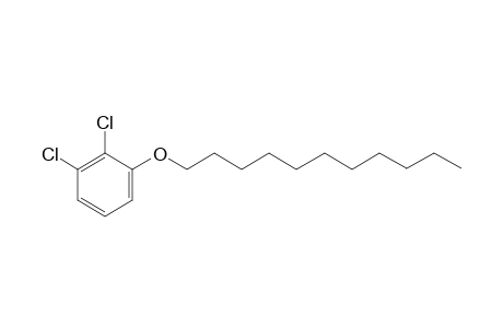 2,3-Dichlorophenyl undecyl ether