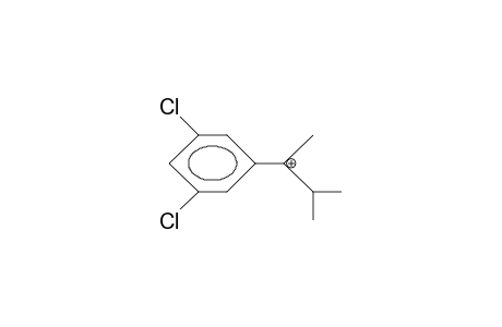 2-(3,5-Dichloro-phenyl)-3-methyl-2-butylium cation