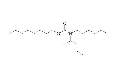 Carbonic acid, monoamide, N-(2-pentyl)-N-hexyl-, octyl ester