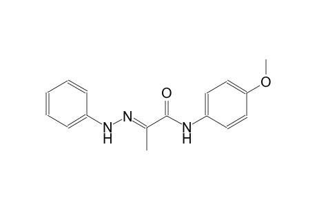propanamide, N-(4-methoxyphenyl)-2-(phenylhydrazono)-, (2E)-