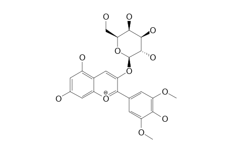 MALVIDIN-3-O-BETA-D-GALACTOPYRANOSIDE