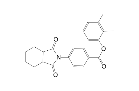benzoic acid, 4-(octahydro-1,3-dioxo-2H-isoindol-2-yl)-, 2,3-dimethylphenyl ester