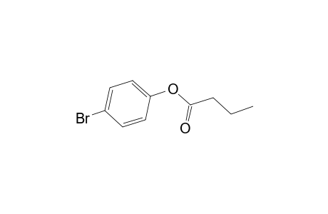 Butanoic acid, 4-bromophenyl ester