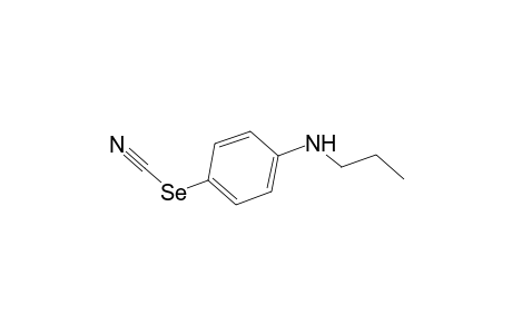 Selenocyanic acid, p-(propylamino)phenyl ester