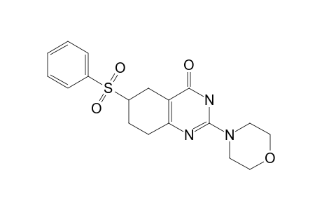 2-(MORPHOLIN-4-YL)-6-(PHENYLSULFONYL)-5,6,7,8-TETRAHYDRO-3H-QUINAZOLIN-4-ONE