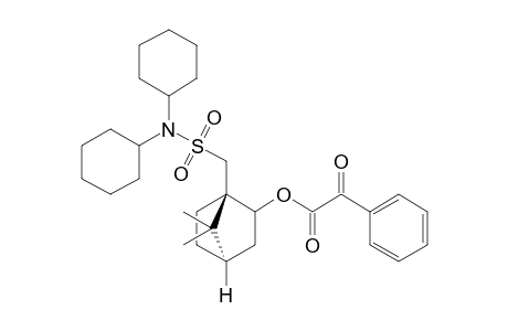 (-)-trans-10-(Dicyclohexylsulfamoyl)-D-isobornyl 2-Oxophenylacetate