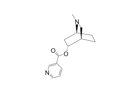 5-ANTI-(3-PYRIDINOYLOXY)-2-METHYL-2-AZABICYClO-[2.2.2]-OCTANE