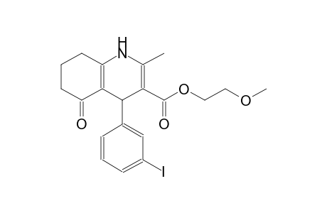 2-methoxyethyl 4-(3-iodophenyl)-2-methyl-5-oxo-1,4,5,6,7,8-hexahydro-3-quinolinecarboxylate