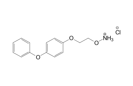 Hydroxylamine, o-[2-(4-phenoxyphenoxy)ethyl]-, hydrochloride